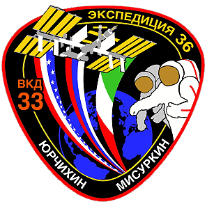 Pavel Vinogradov EVA patch
