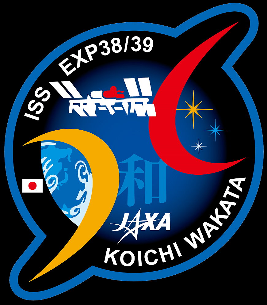 Patch Koichi Wakata Soyuz TMA-11M