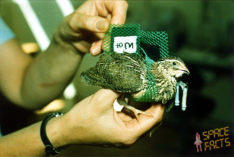 Soyuz TM-9 onboard Mir