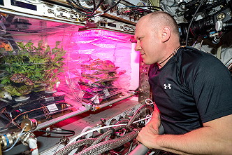 life onboard ISS