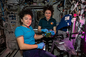 life onboard ISS