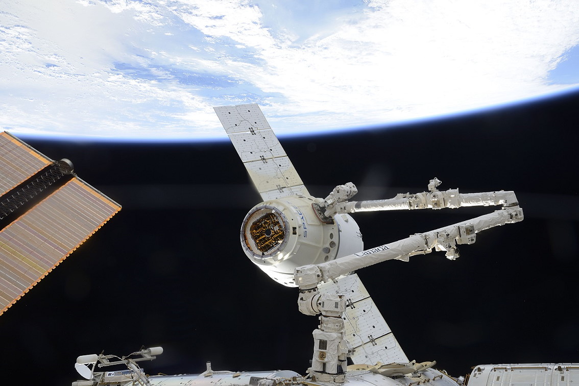 Einfangen von Dragon