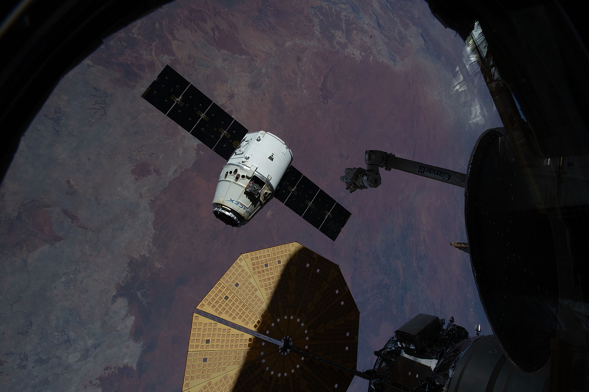 Dragon released