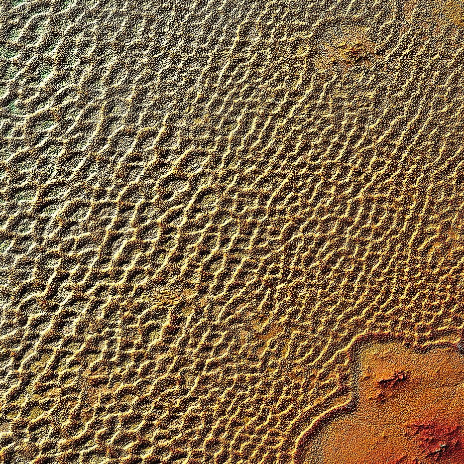 Sahara