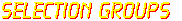 SELECTION GROUPS