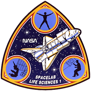 Patch SLS-1
