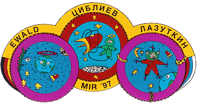 Patch Soyuz TM-25