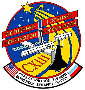 Patch STS-113