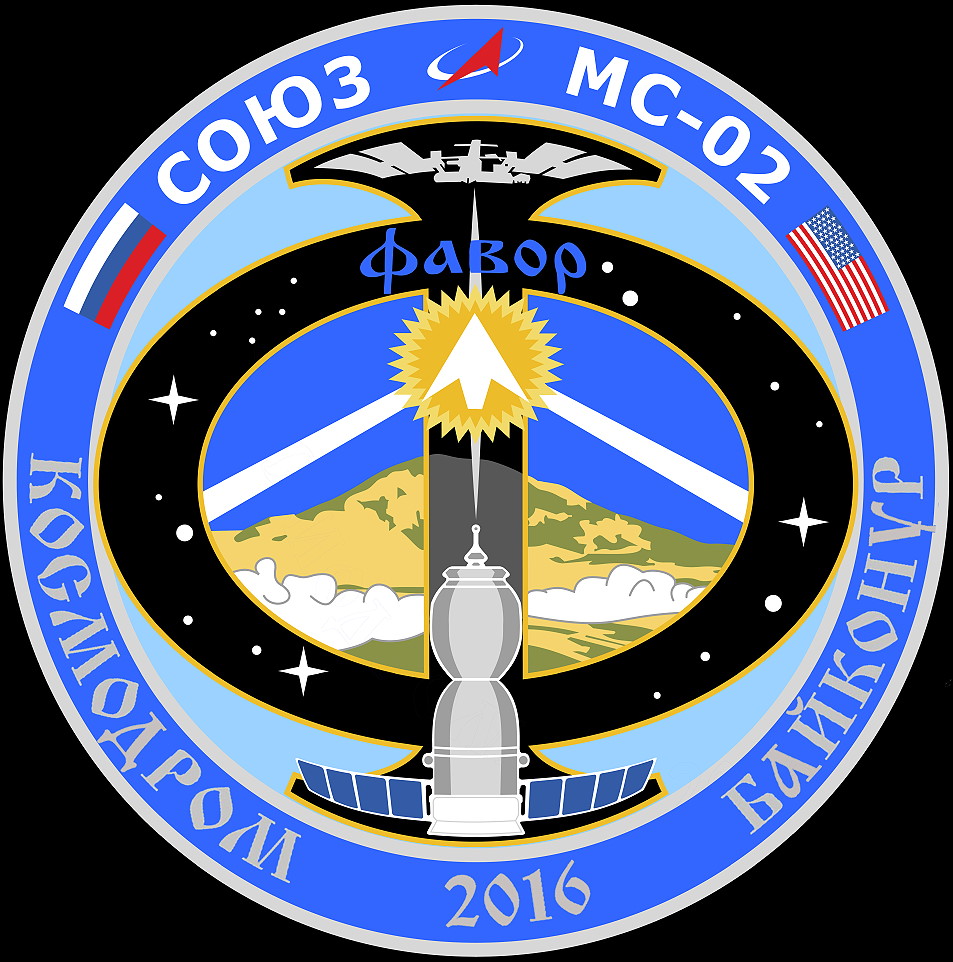 Patch Soyuz MS-02 backup crew