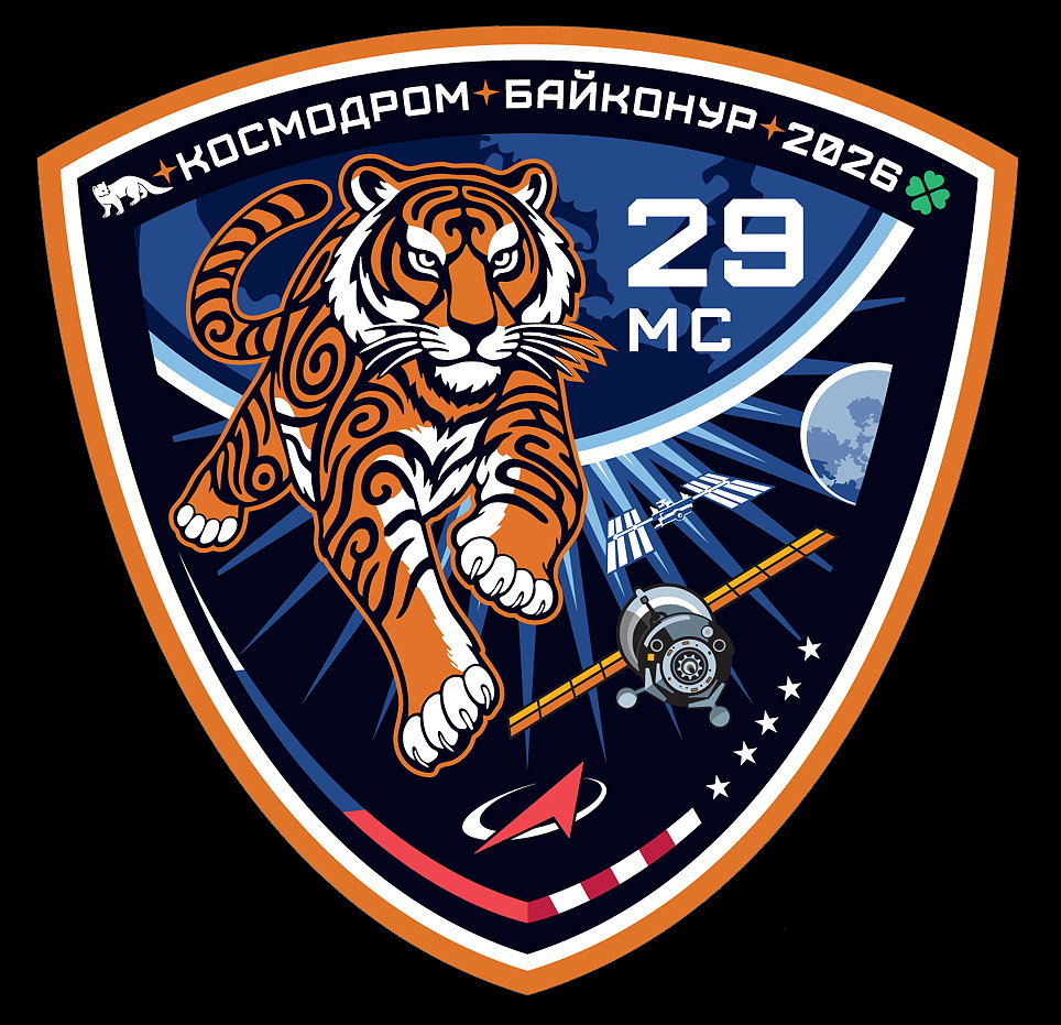 Patch Sojus MS-29 Ersatzmannschaft